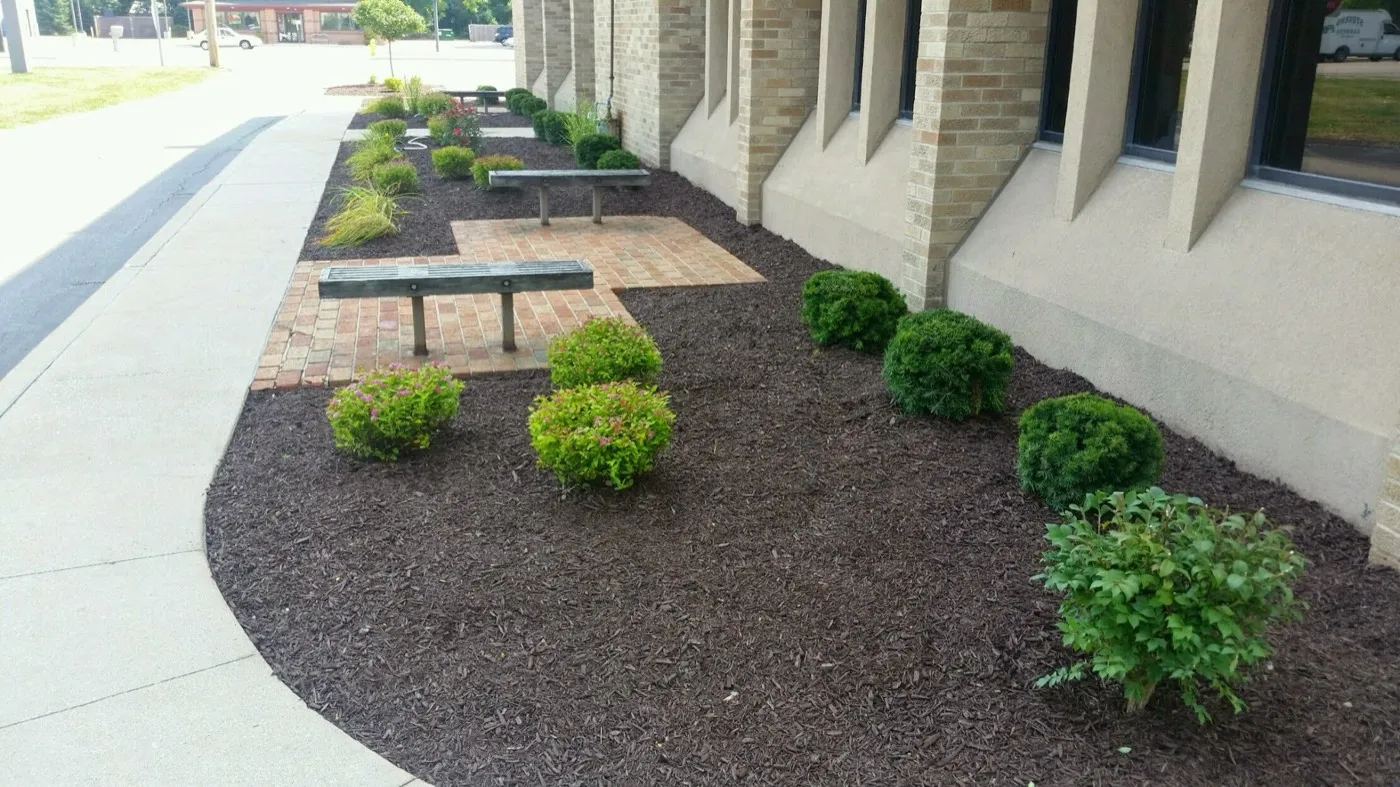Top 5 Signs It’s Time to Replace Mulch, Topsoil, or Gravel