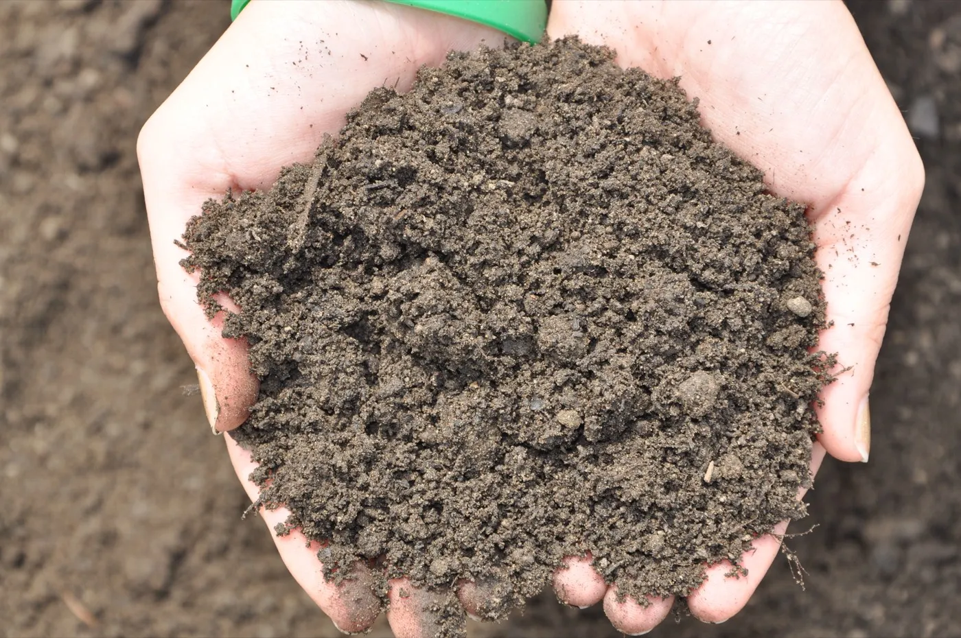 How to Spot and Fix Degraded Soil for a Healthier Lawn and Garden