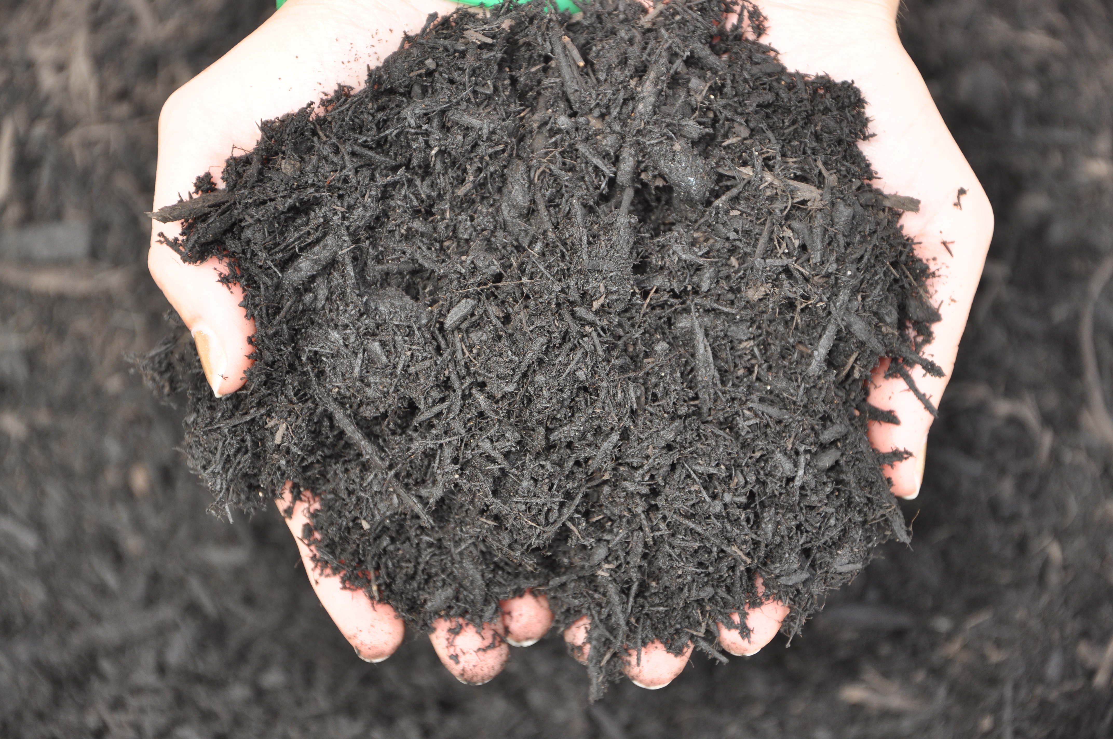 Wood Mulch: The Ultimate Guide to Enhancing Your Garden’s Beauty and Health