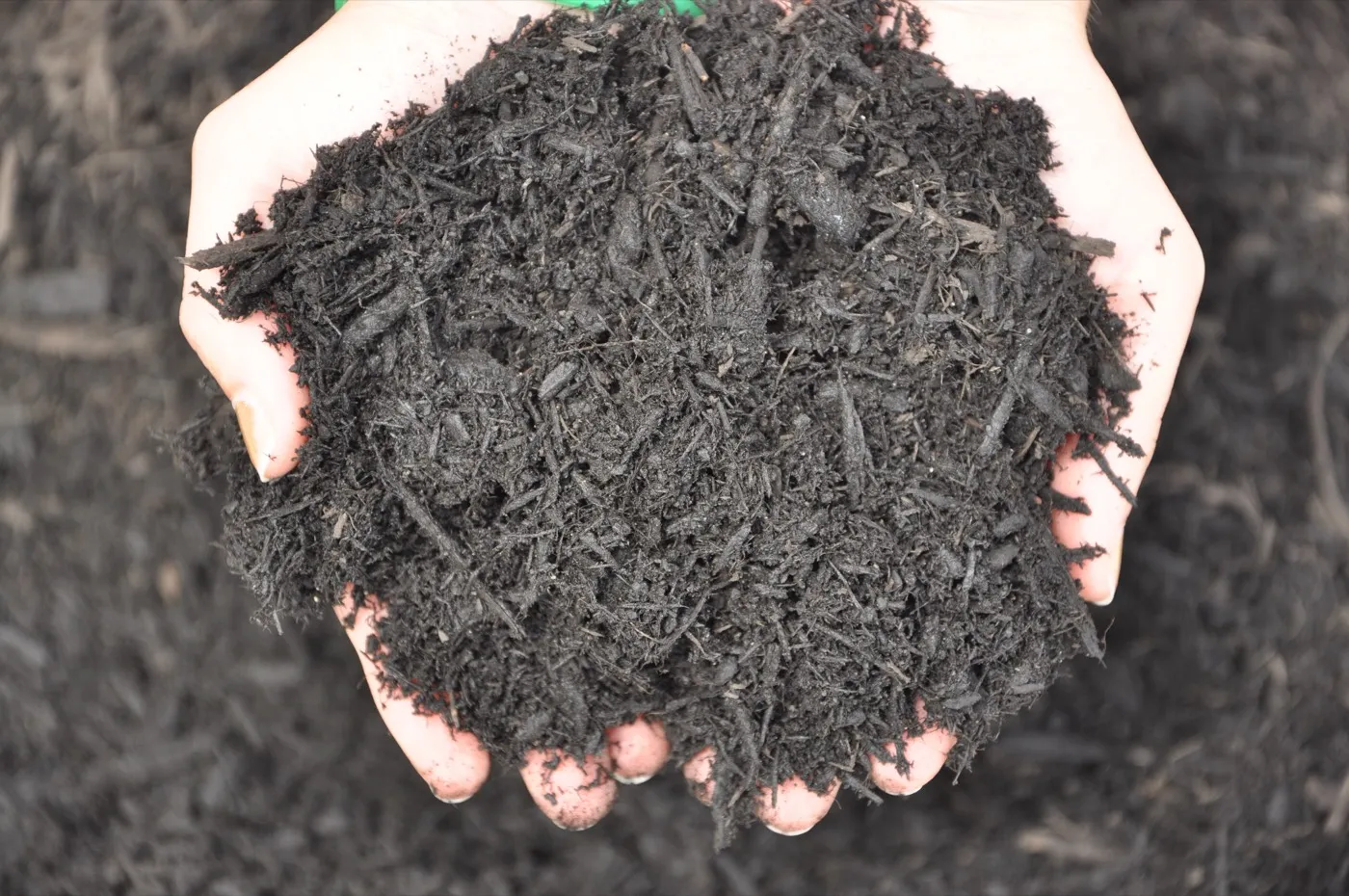 Wood Mulch: The Ultimate Guide to Enhancing Your Garden’s Beauty and Health