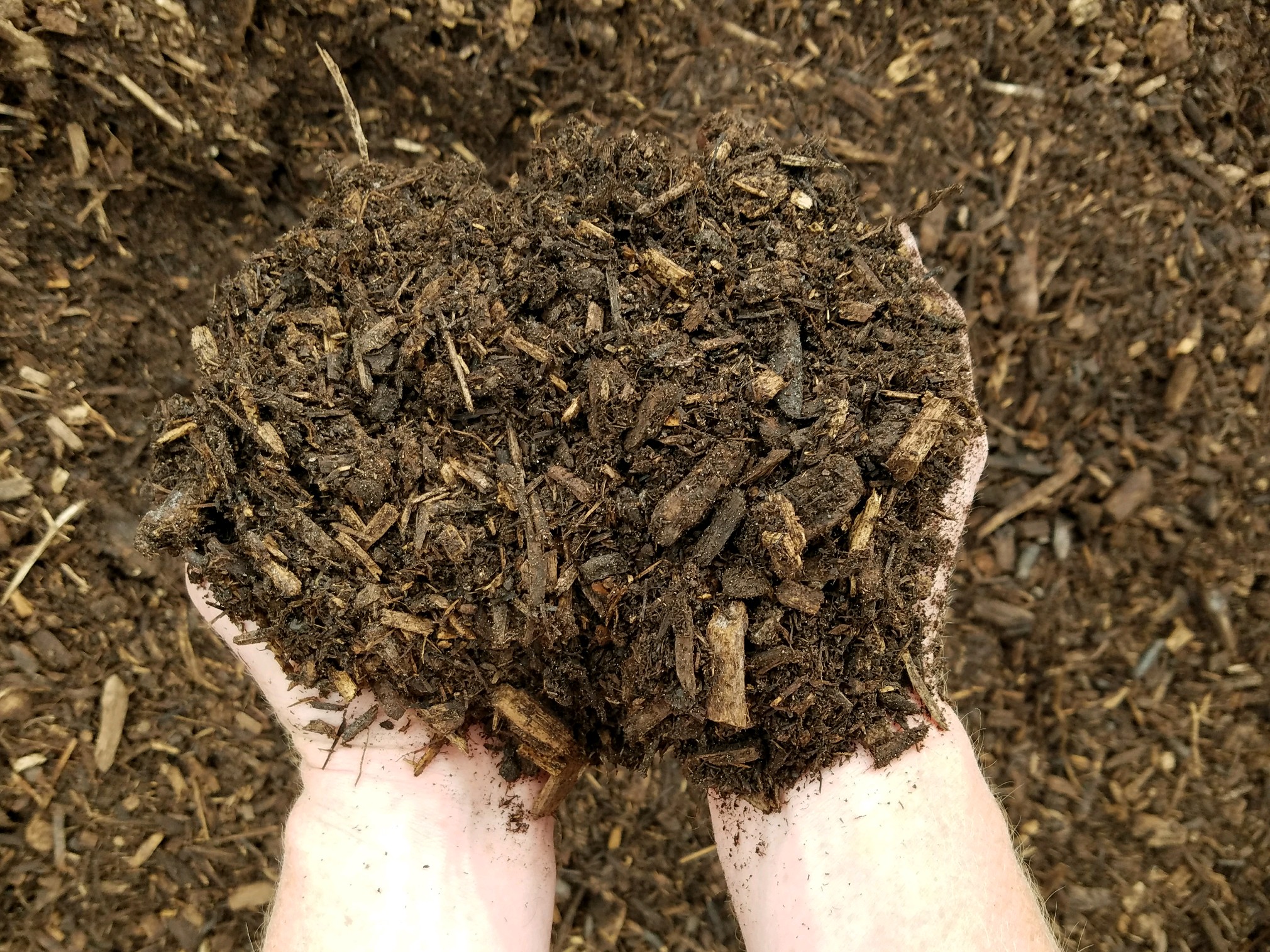 Scoop of medium brown double processed hardwood mulch