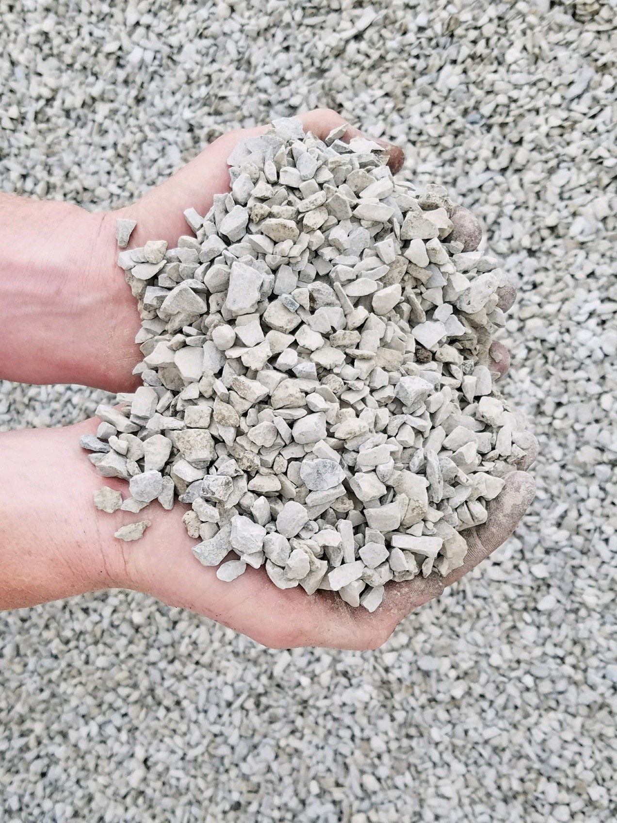 Landscape Stone: Ultimate Guide to Types and Uses