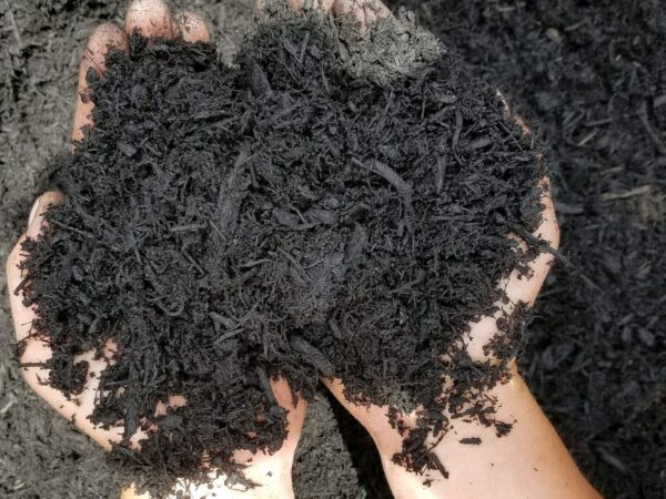 Hands holding deep black premium mulch over a black mulch pile