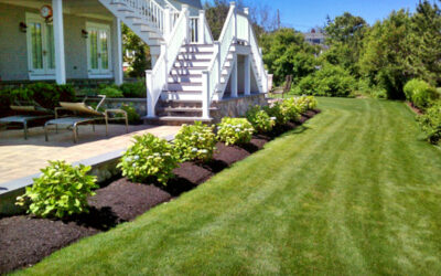 LANDSCAPING ON A BUDGET: USING MULCH, TOPSOIL, AND STONE FOR AFFORDABLE OUTDOOR DESIGN