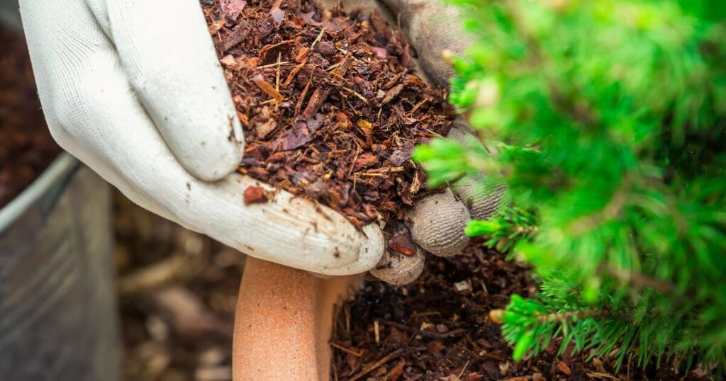 How to Mulch Effectively