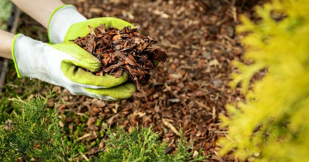 Springtime Mulching: The Ultimate Guide to Timing, Techniques, and Benefits for a Thriving Garden - Mulch Delivery